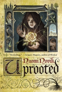 Cover of the book, featuring a girl with long brown hair looking down at her hands - hovering between her hands is a glowing golden rose with vines shooting away from it.
